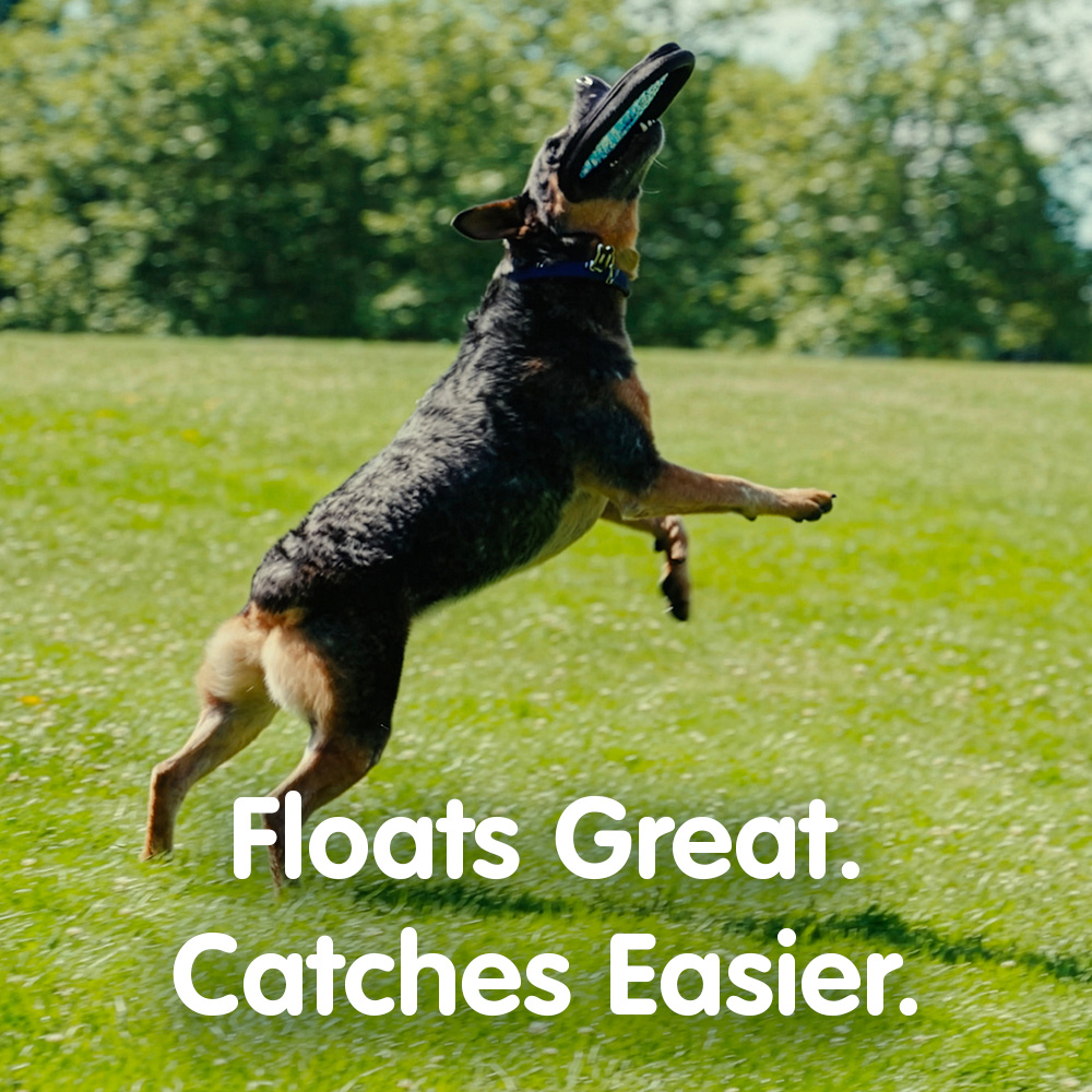 ZooBee Flying Disc Dog Toy. Fly. Float. Fetch. Floats longer