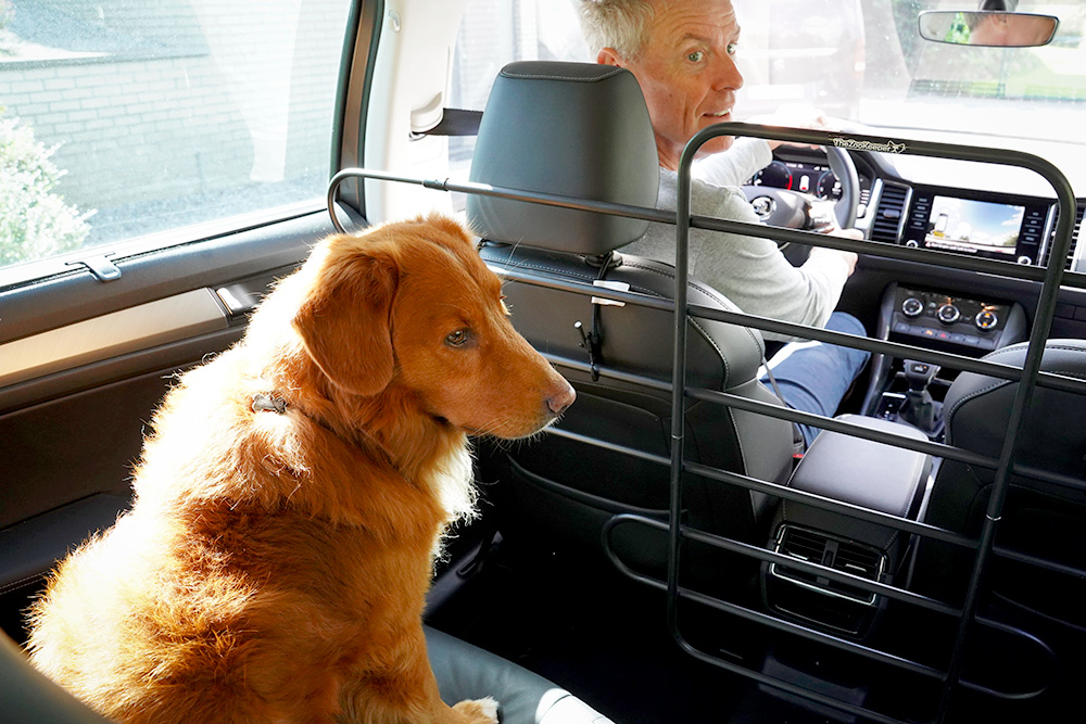 dog barrier for SUV