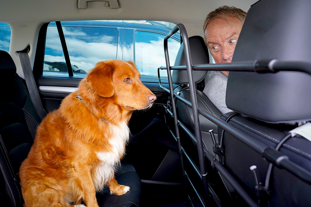 The ZooKeeper uses an open bar design that helps keep dogs safely behind the barrier but doesn’t create a wall between you and the rest of the road.