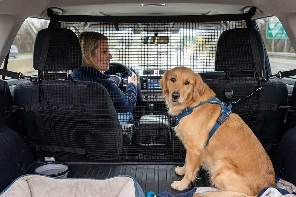 fabric or mesh panels with straps that connect to headrests or grab handles.