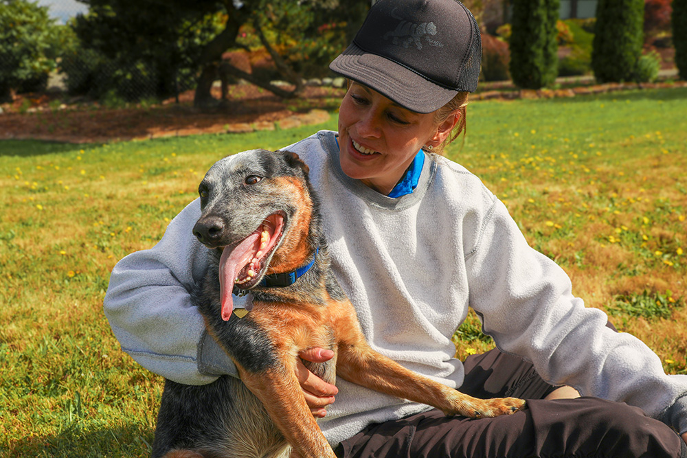 The Zookeeper pet store offers a focused lineup of dog products built around real problems