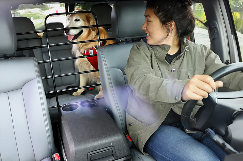 This guide breaks down how to choose and install a ZooKeeper car pet barrier to keep your dog safely in the back and ensure a distraction-free drive.